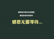 -根据您的要求，我先构思一个能体现唯一性与戏剧张力的文章标题，随后完成全文