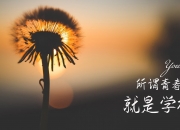LOL决赛-绿茵场上的唯一剧本，当世界杯关键战遇见印度风暴与哈基米时刻