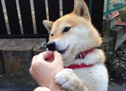 英雄联盟总决赛时间-跨越次元的决斗，当保罗的冷血时刻照亮深篮之夜