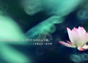 LOL决赛-当拉文撕裂魔方，辽宁队如何在上海滩写下唯一解