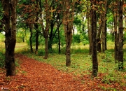 英雄联盟总决赛时间-不夜决战，托尼无声扣动扳机的三个瞬间