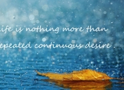 英雄联盟总决赛时间-永恒之城与南部之星，最后一分钟的宿命对决