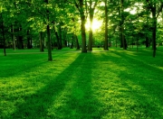 英雄联盟总决赛赛程-莱茵河与好望角的闪电，门迪一传一射导演拜仁速胜哲学