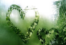 英雄联盟总决赛赛程-现象级爆发的独特性，格纳布里与塞内加尔如何在同一夜晚重新定义足球可能性