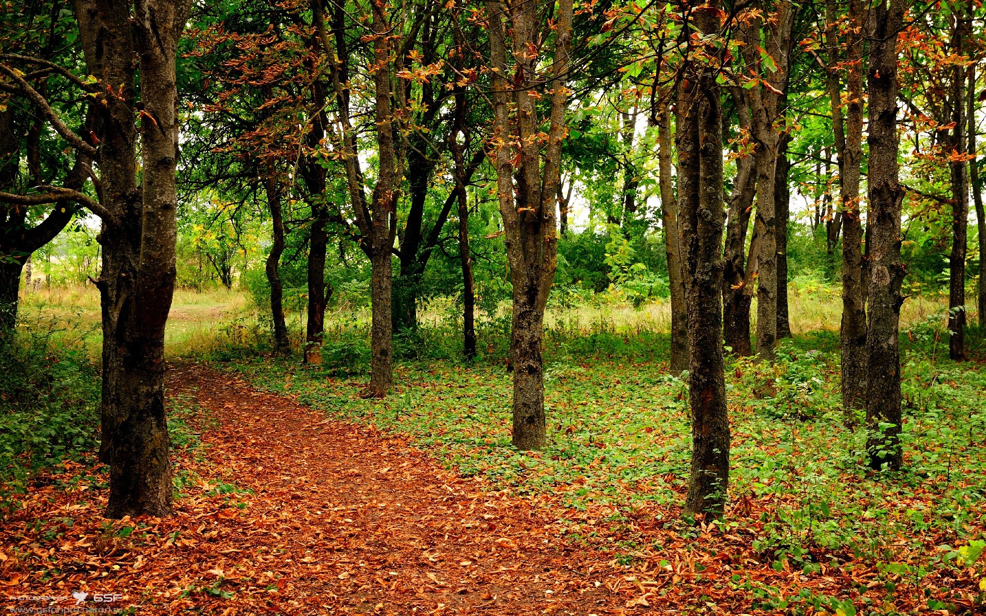 当锡安成为棋手，凯尔特人用防守棋谱锁死新疆队的篮球密码