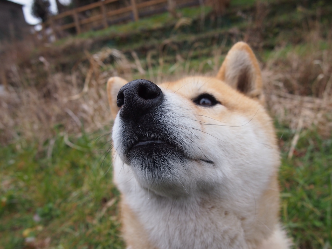 东方力量客场显威,山西队团队篮球体系如何让步行者俯首,马克西化身关键先生一锤定音