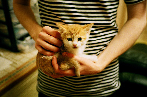 热血里程碑与寒冰绝杀，当加维的火焰遇上冰岛的极光