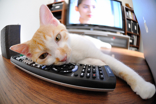 双重征服,当冷静头脑碾碎北欧堡垒,集体铁蹄踏平峡湾迷雾