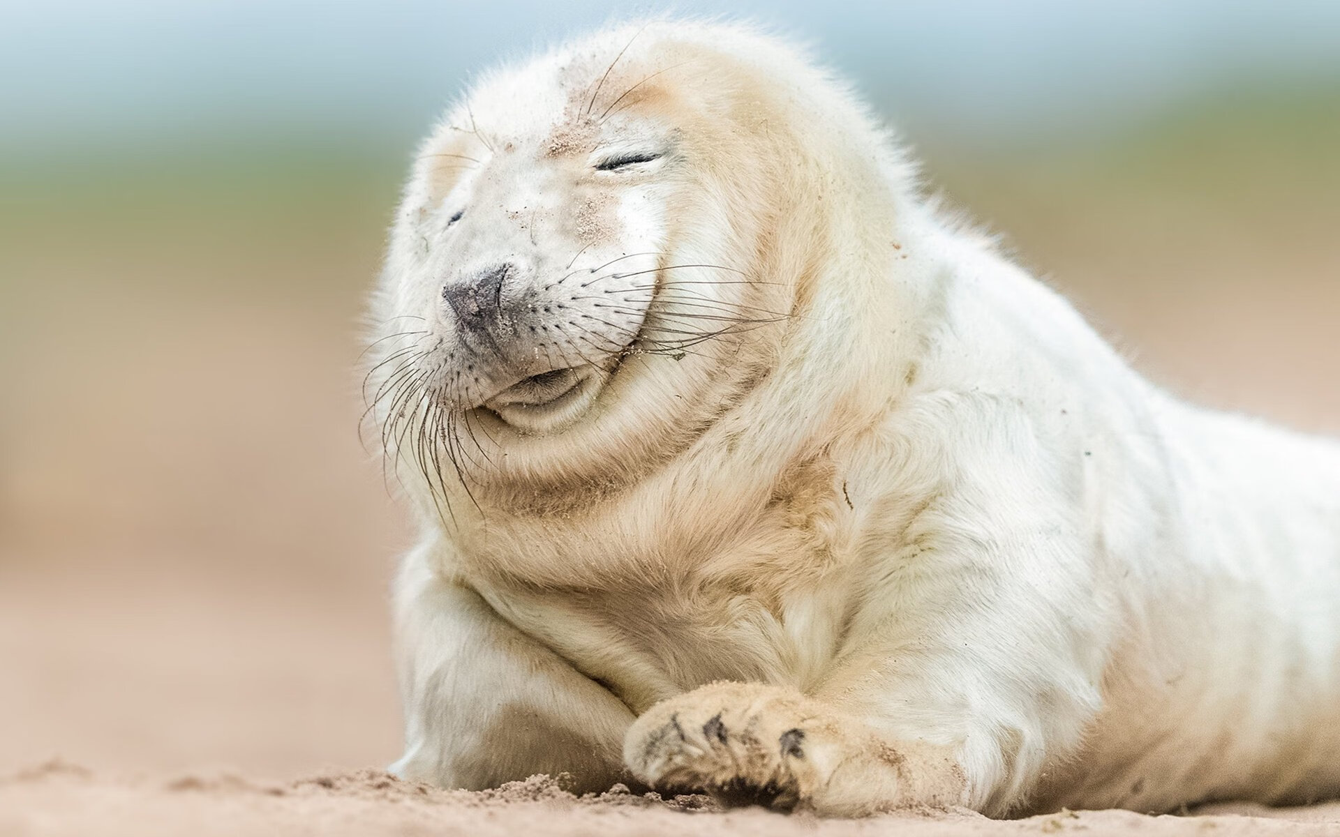 新核初现,土耳其钢铁防线前,福登用唯一性点亮德国战车