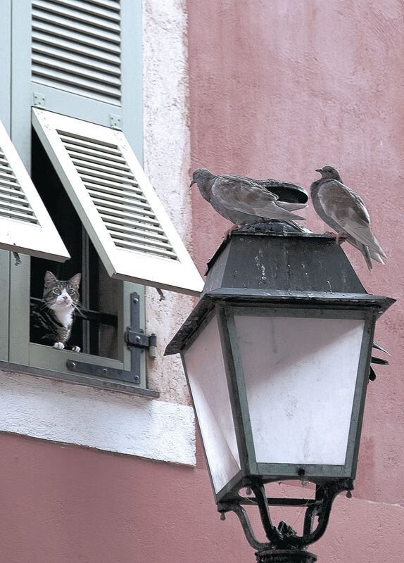 篮球时空走廊，哈登关键先生模式开启，快船与广东队的梦幻碰撞