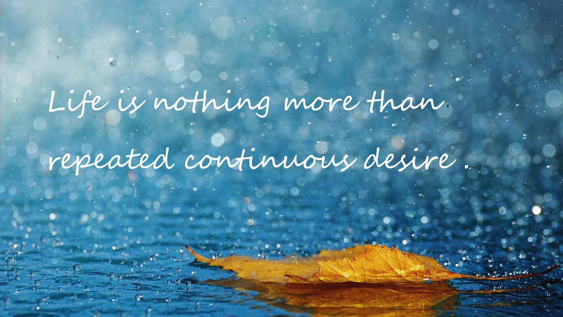 鹏城夜鹰啼血记,德罗赞降临,深圳绝境撕裂亚特兰大