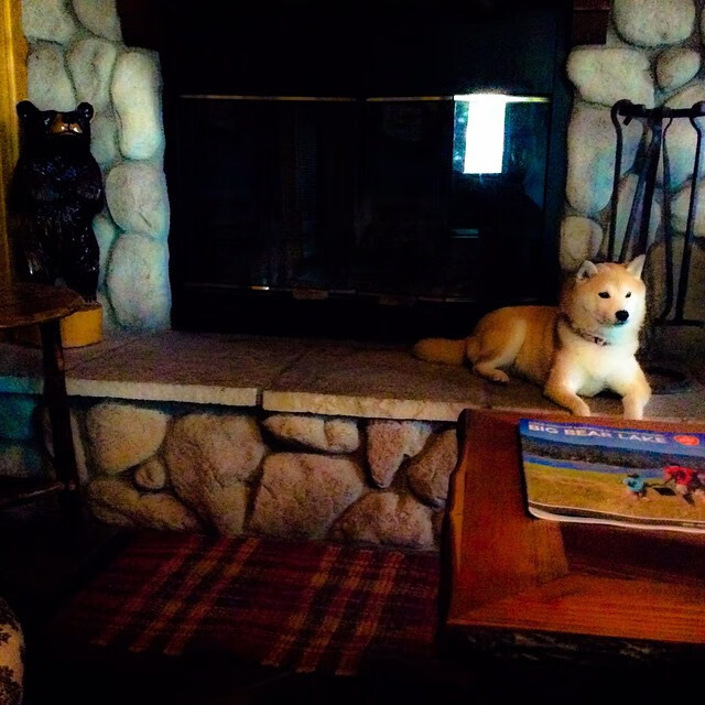 东决关键战之夜，努涅斯用数据谱写的个人英雄主义交响曲