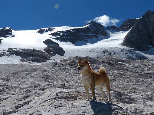 铁血与天赋的终极较量，阿森纳终结毕尔巴鄂，莱奥完成生涯里程碑