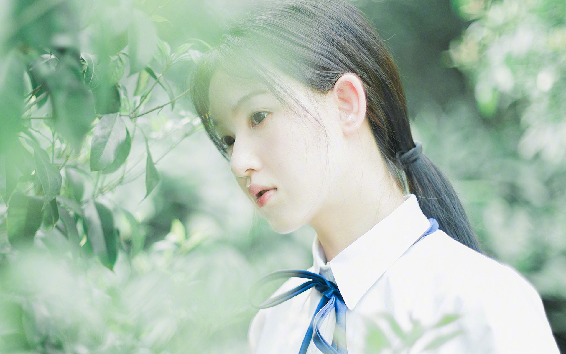 一夜之间,三声哨响,一位主宰者