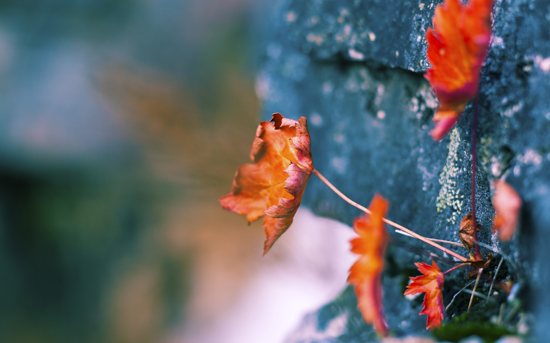 利拉德引爆巴克莱中心，48+12火炬燃尽火箭，篮网生死战重生