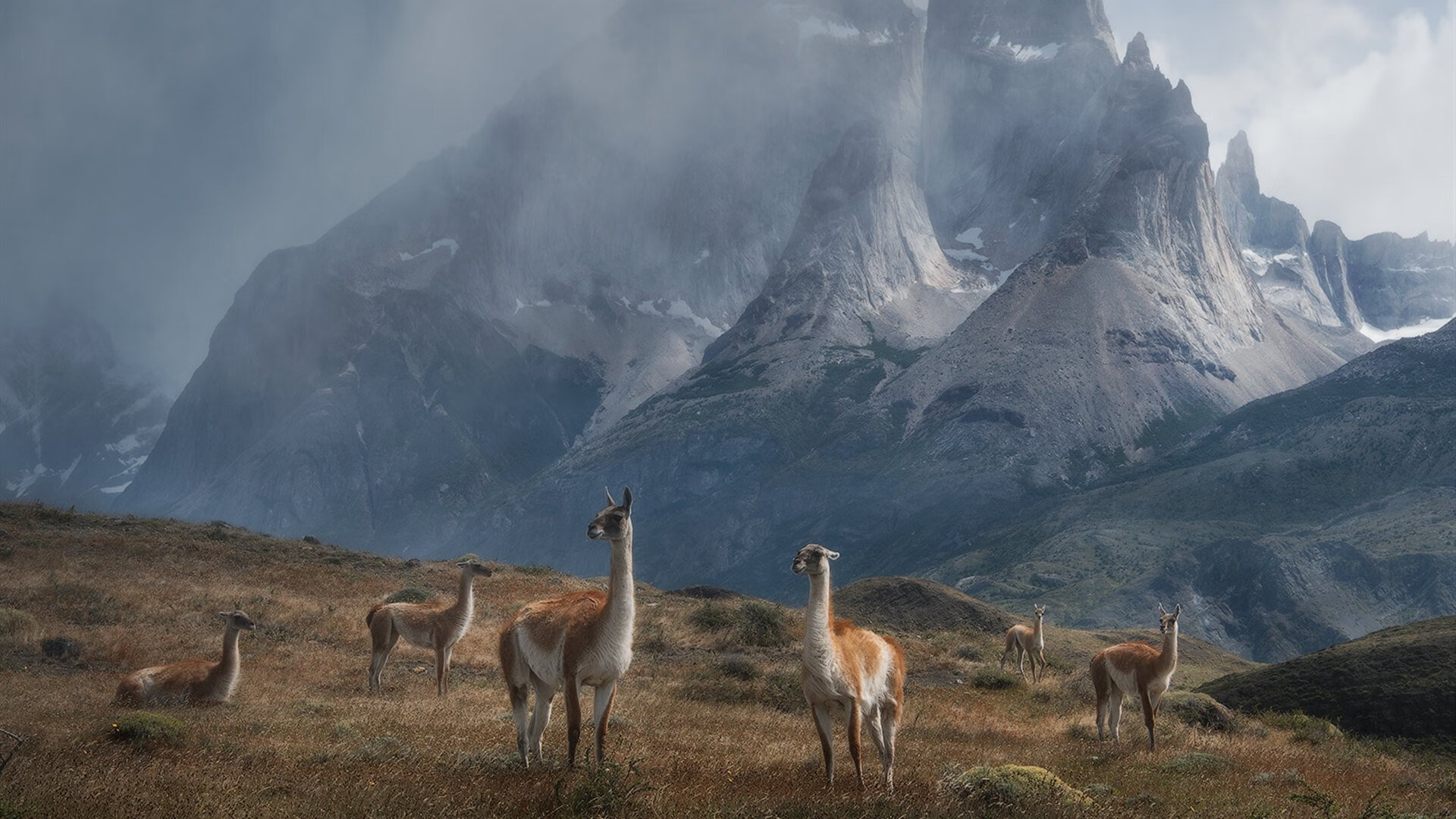 生死七分钟,当时间静止,命运在篮板间轰鸣