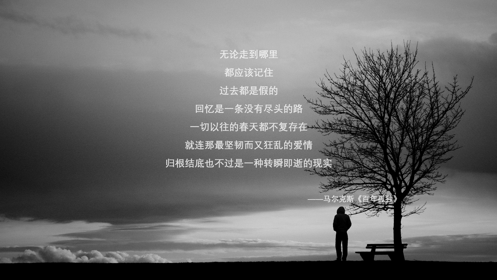 踏碎蜘蛛网，文班亚马在世界排名争夺战的接管宣言