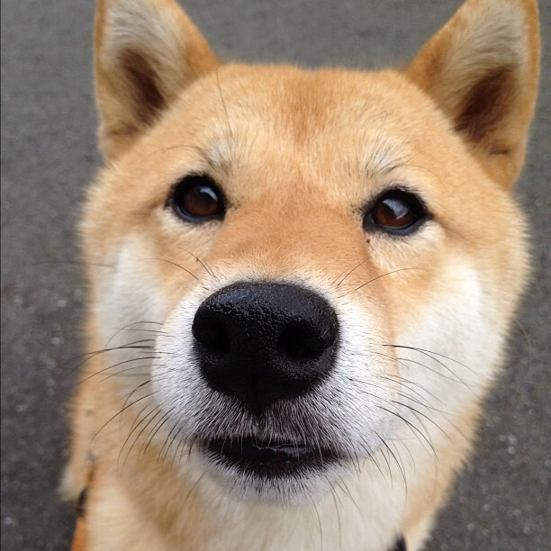 战术枷锁与巨星升维，雷霆冰封公牛，伦纳德在舞台中央焚尽尘埃