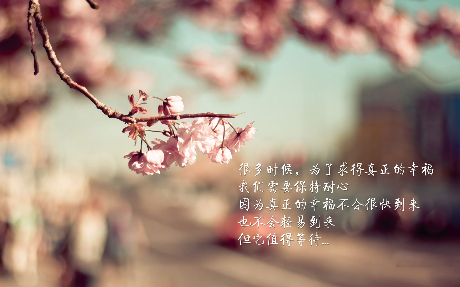 唯一性的锋芒，当浙辽之战的热血，撞上恩比德硬仗之王的孤勇