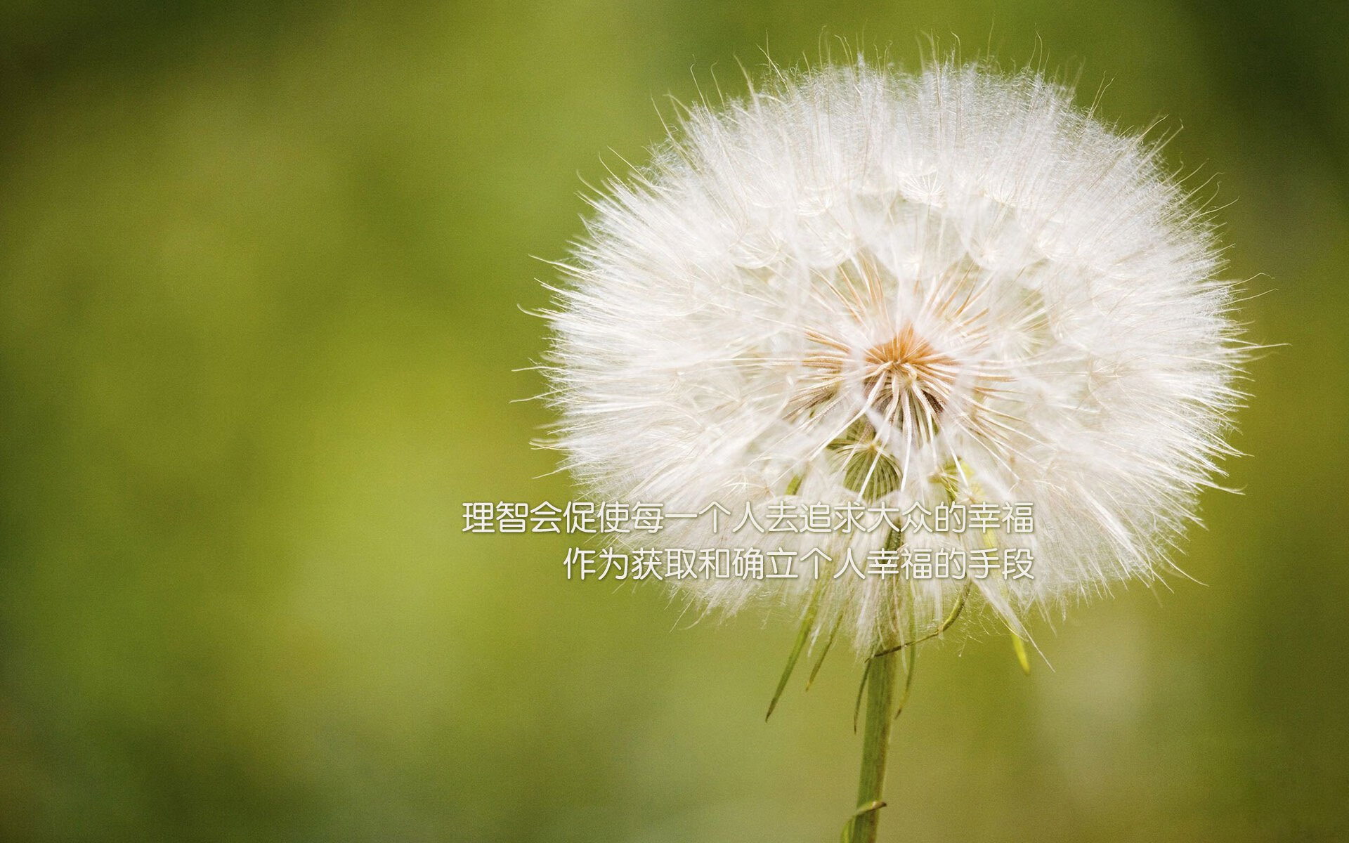 阿尔卑斯铁骑踏碎南美雄鹰，姆巴佩闪击破局，2026世界杯E组生死战重塑争冠格局