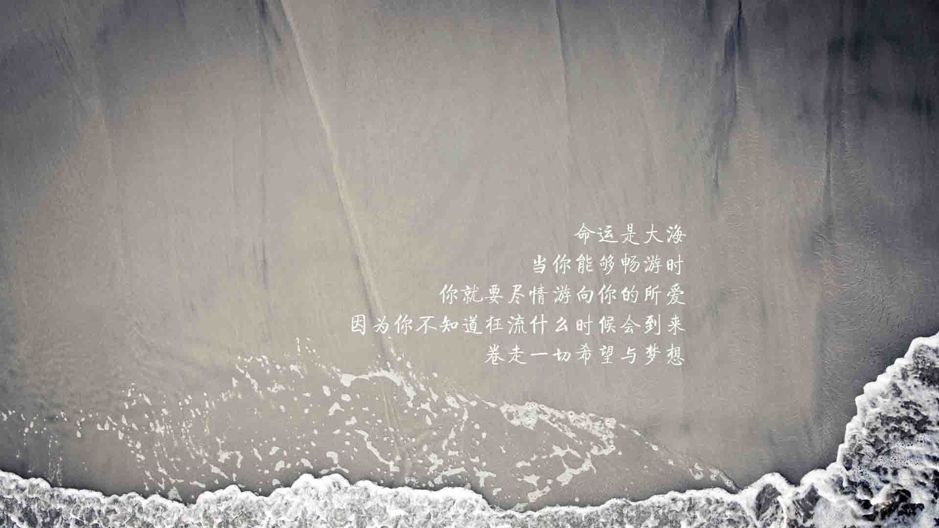 橙衣军团的困局,当控球成为枷锁,范戴克的孤勇照亮2026C组暗夜