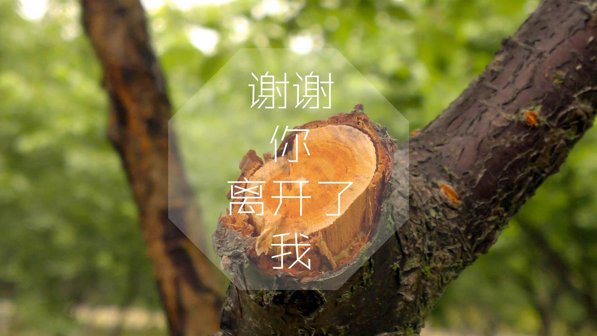 蓝衣风暴席卷沙漠，2026世界杯B组，意大利用攻守艺术碾压伊朗，萨卡独造传奇之夜