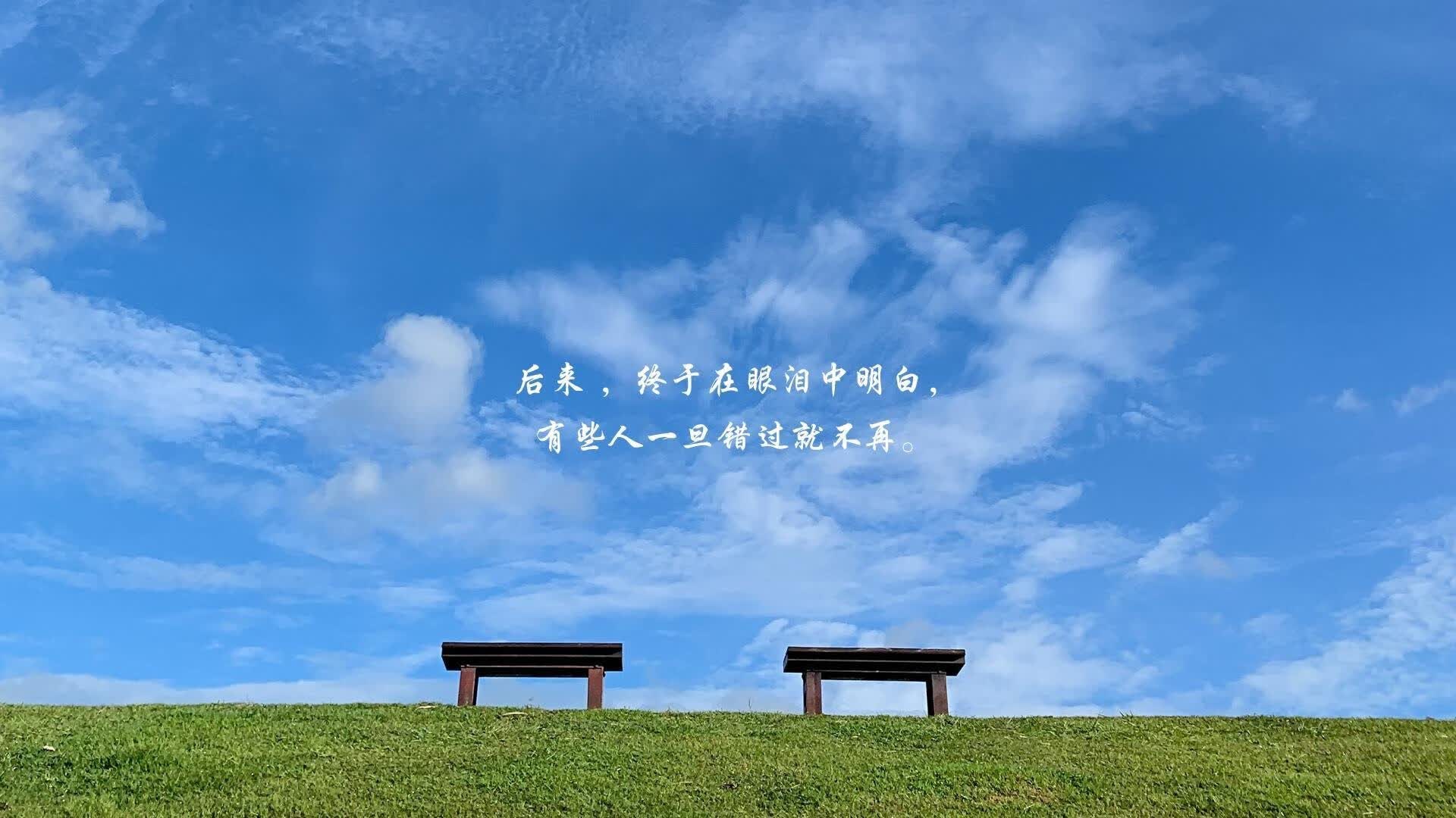 宿命对决的独白,2026世界杯D组,挪威的险胜与孙兴慜的孤星闪耀