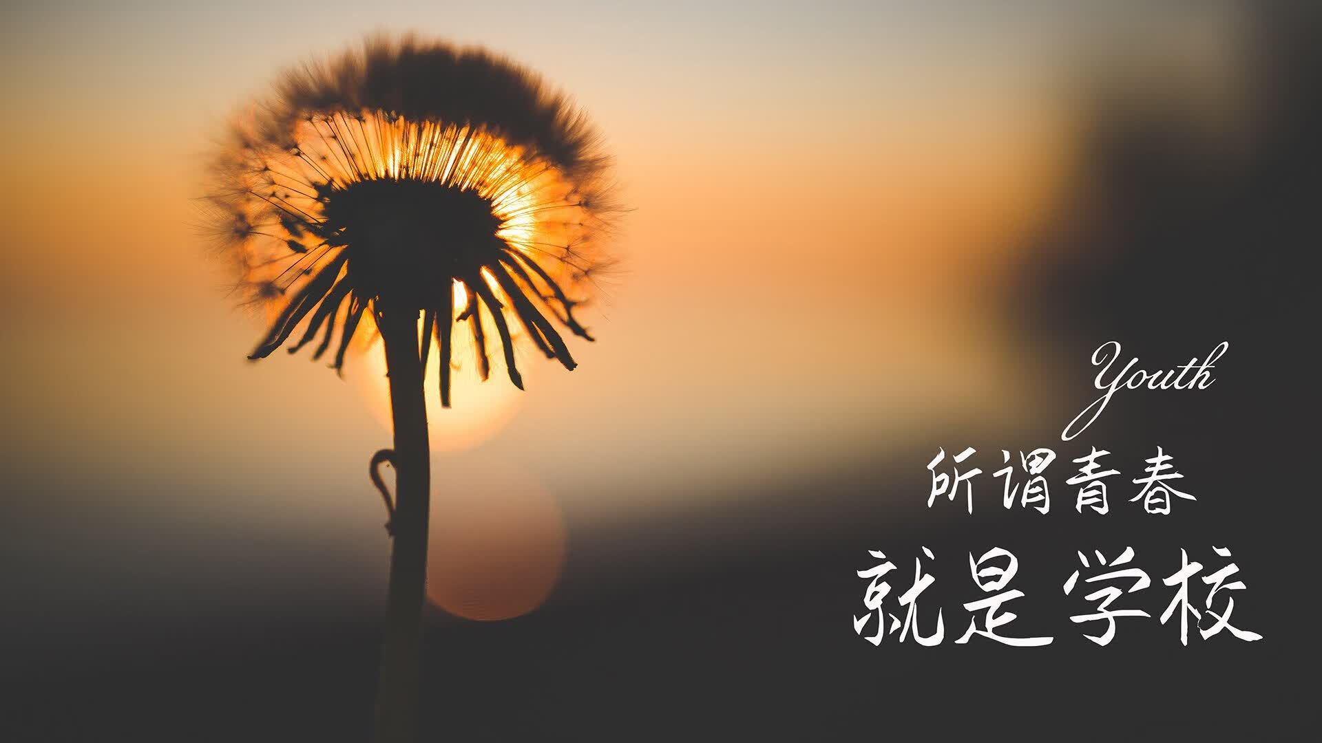 绿茵场上的唯一剧本，当世界杯关键战遇见印度风暴与哈基米时刻